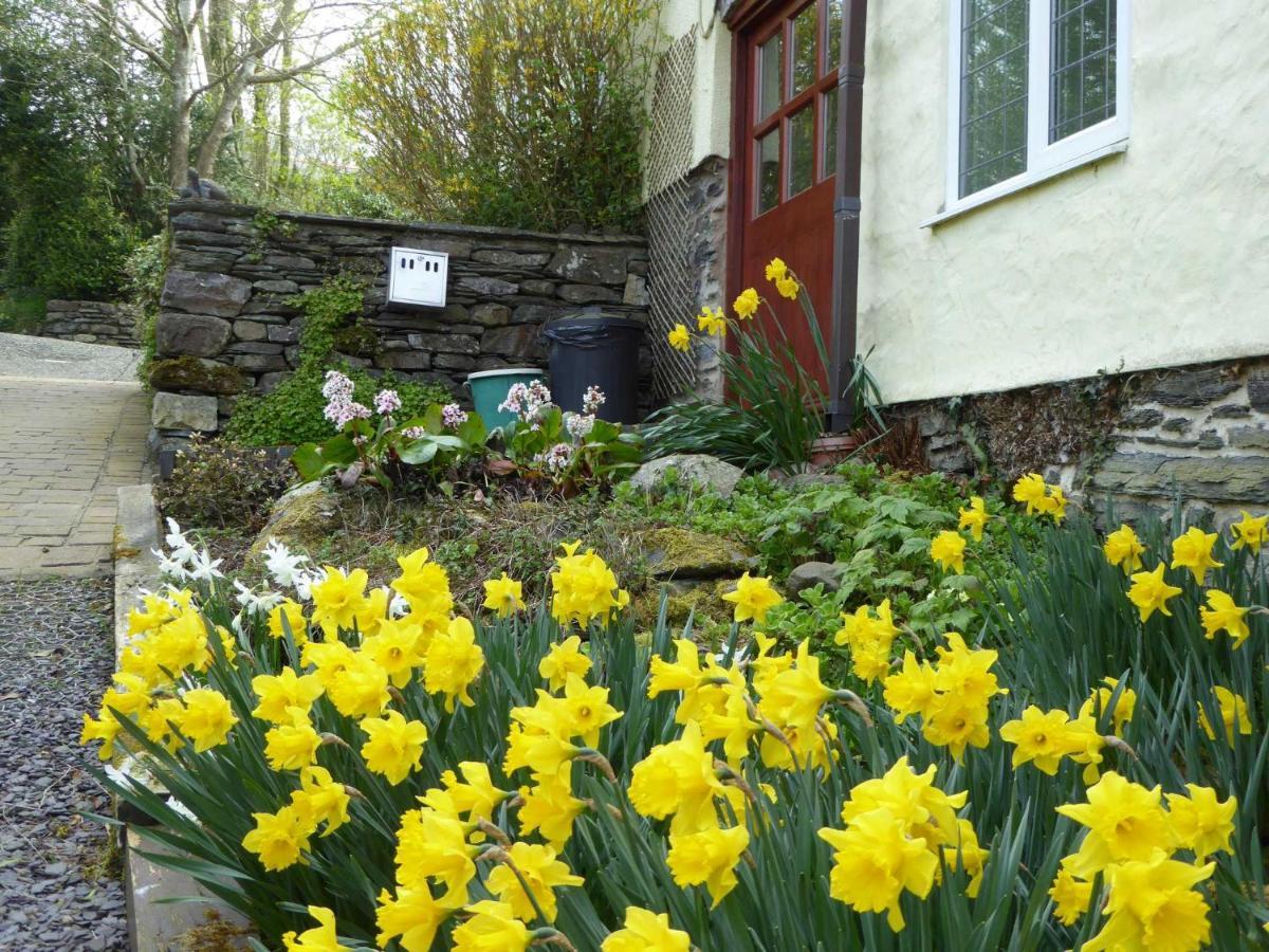 Hafannedd Villa Corwen Dış mekan fotoğraf